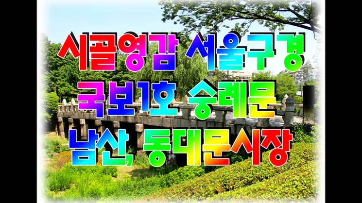 시골영감 서울구경 (숭례문, 남산, 동대문시장)