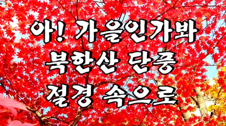 아 가을인가봐 / 북한산 단풍 한창이더라