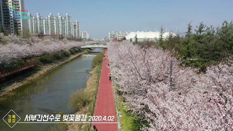 서부간선수로 벚꽃풍경 [기록영상]