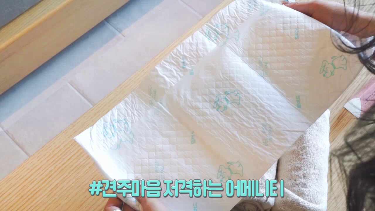 제 10회 영상왕 콘테스트 공모전 - 전윤영 - 아기포메 코코의 첫 인천호캉스 여행