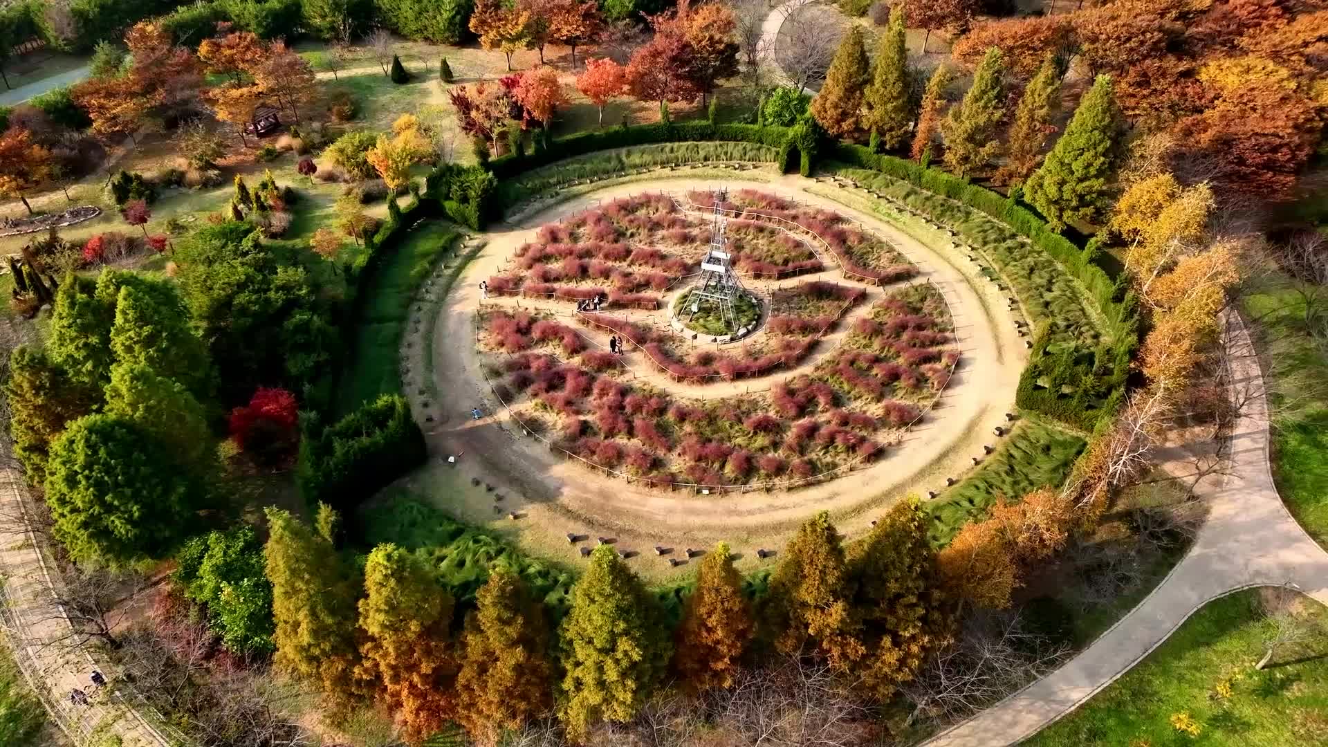 [서구 기록영상] 서구의 가을2 (드림파크 야생화공원)