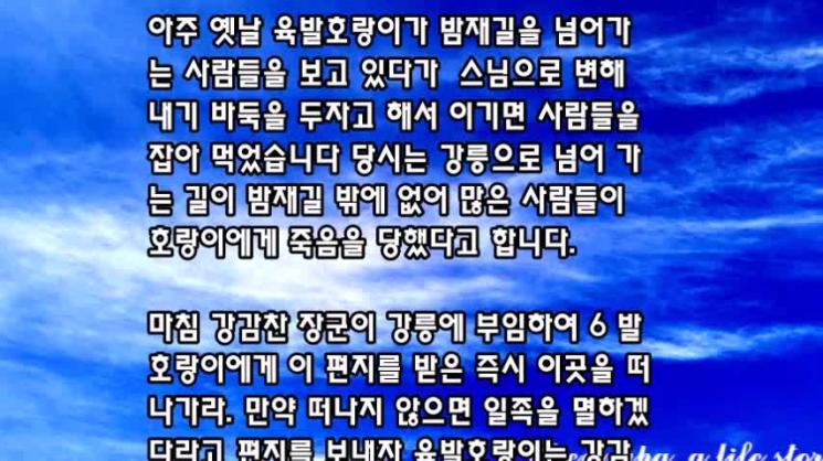 강릉 정동진 심곡 바다부채길 & 주문진 소돌해변 아들바위공원을 걷다  