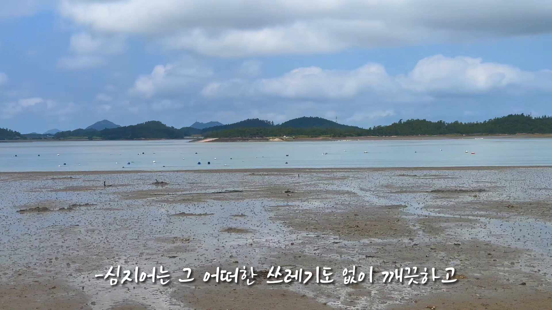 제 10회 영상왕 콘테스트 공모전 - 이주영 - 쓰레기 글로벌 공익광고