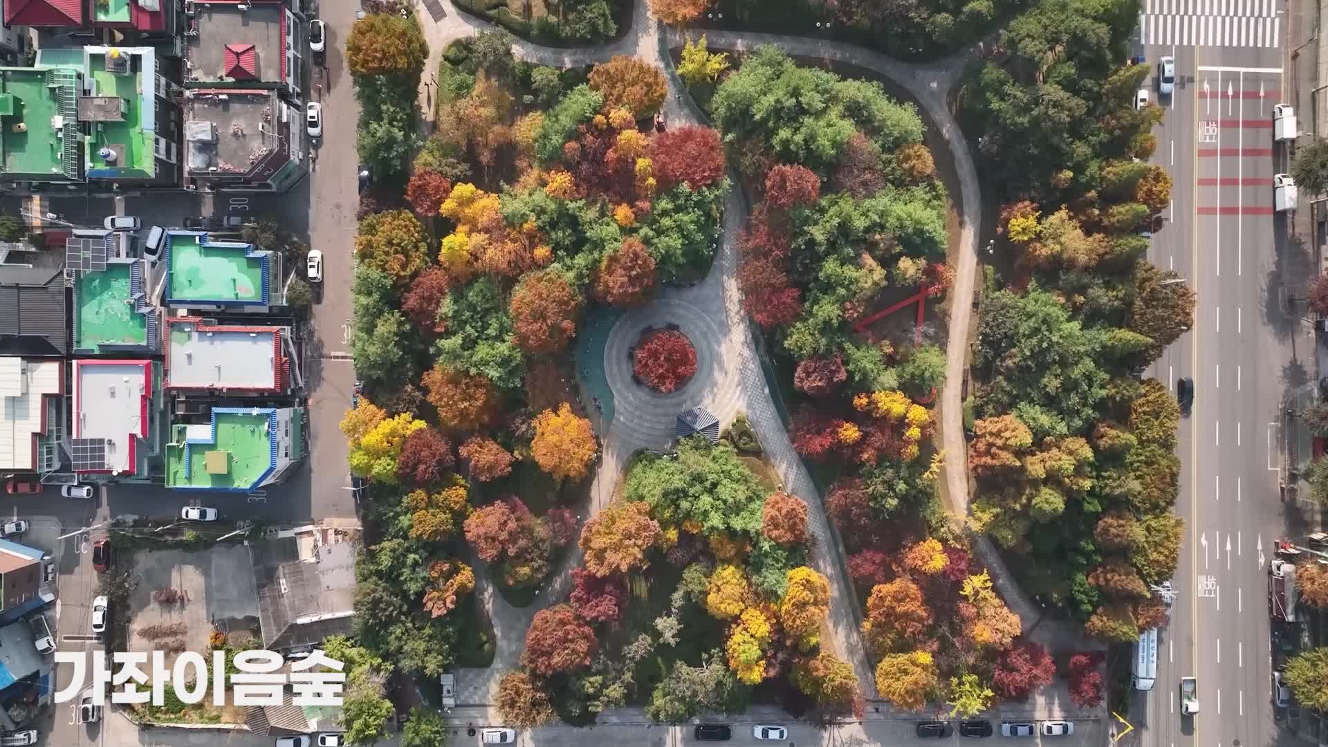 [서구 기록영상] 서구의 가을1(가좌이음숲, 청라생태공원)